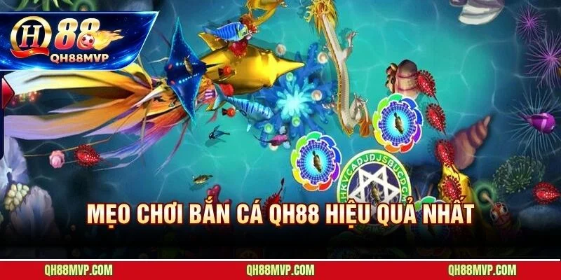 Năm nguyên tắc giúp người chơi tích xu bền vững và tránh sai lầm phổ biến